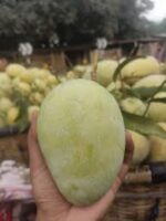 আশ্বিনা আম - Image 2