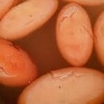 বালিশ মিষ্টি